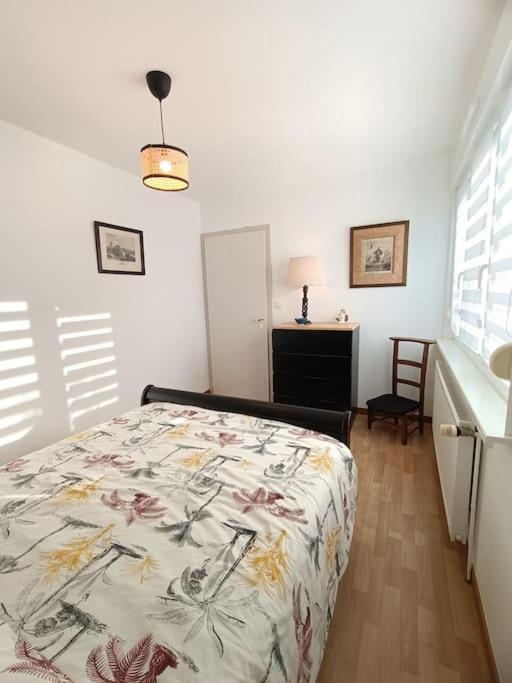 דירות ברימאט Strasbourg 3 Pieces Avec Jardin מראה חיצוני תמונה