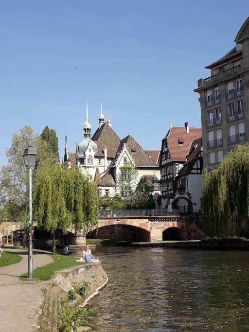 דירות ברימאט Strasbourg 3 Pieces Avec Jardin מראה חיצוני תמונה