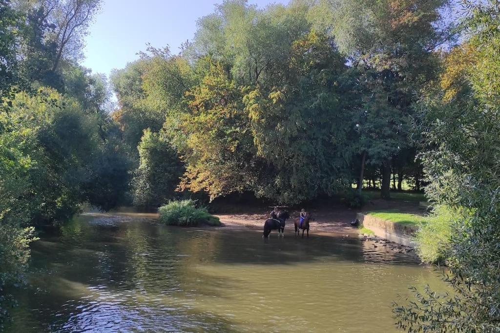 דירות ברימאט Strasbourg 3 Pieces Avec Jardin מראה חיצוני תמונה