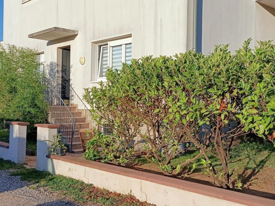 דירות ברימאט Strasbourg 3 Pieces Avec Jardin מראה חיצוני תמונה